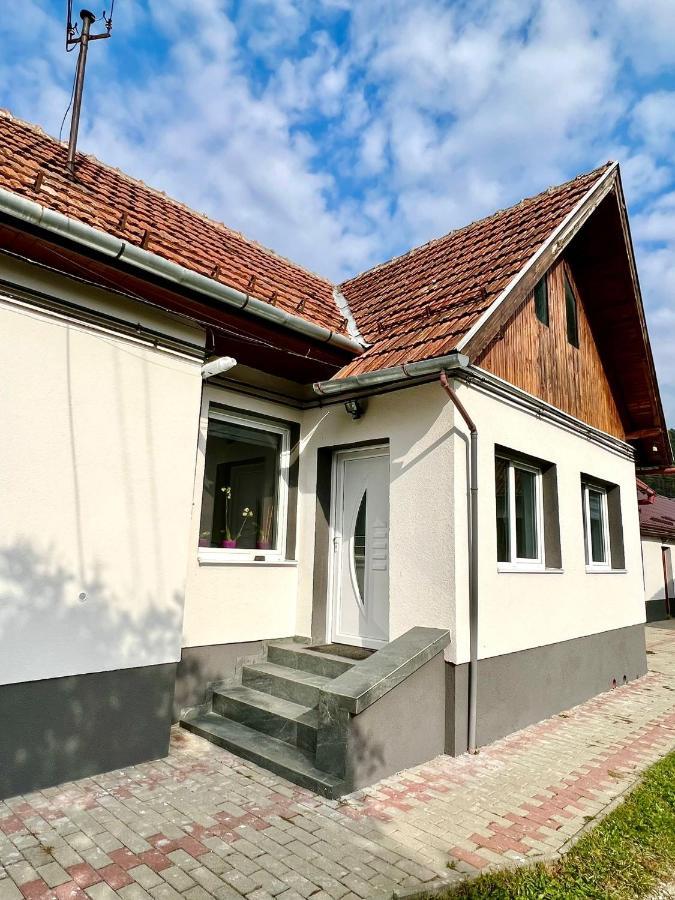 Silver House Rasnov Bagian luar foto