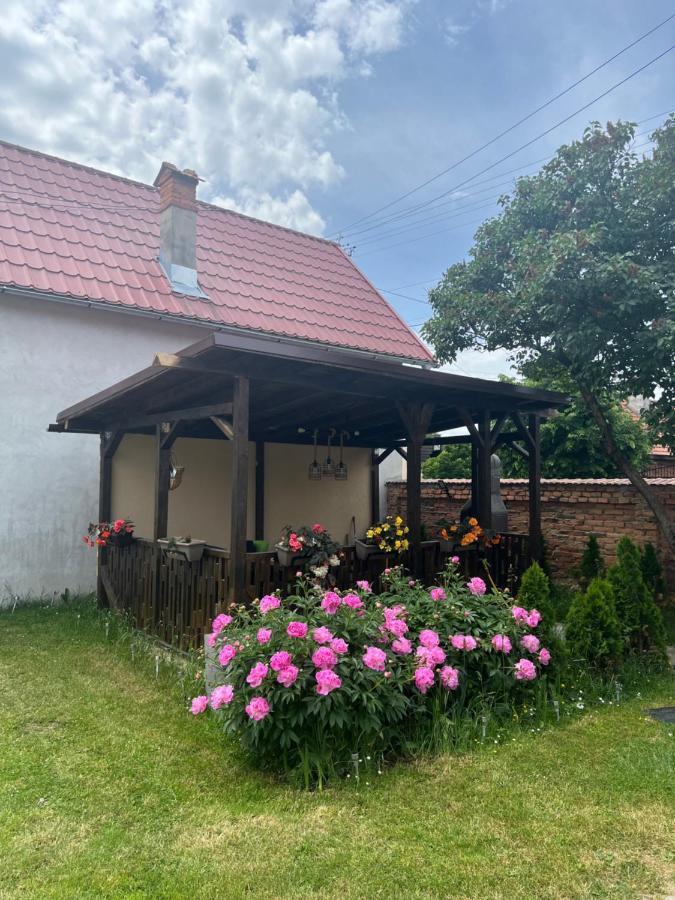 Silver House Rasnov Bagian luar foto